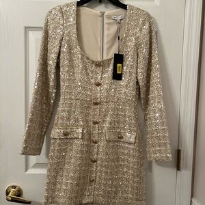 Elegant Sequin Button-Down Dress